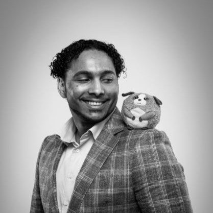 Team Member Gerardus Vermeulen